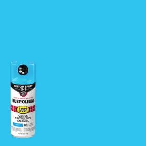 12 OZ Maui Spray Paint