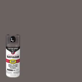 12 OZ SG BRZ Spray Paint