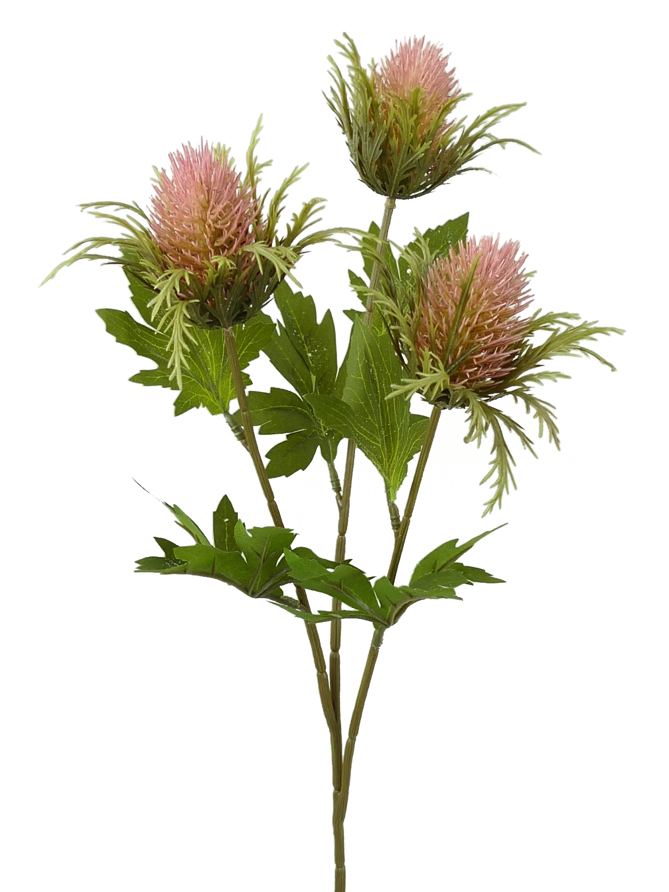 26" Long with 3 Stems  Mauve  Plastic Teasel Spray  56664MV