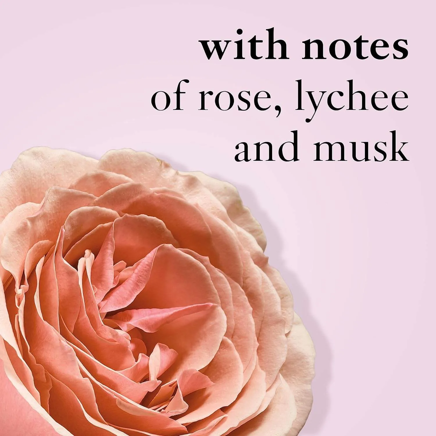 Amazing Grace Ballet Rose by Philosophy for Women - 4 oz EDT Spray