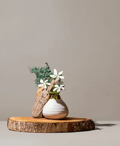 Aquila Grayscale Room & Linen Spray | Choose your Scent!